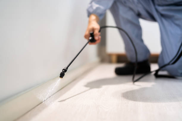 Licensed Fumigation Services service in Massanetta Springs, VA - Nex Pest Control