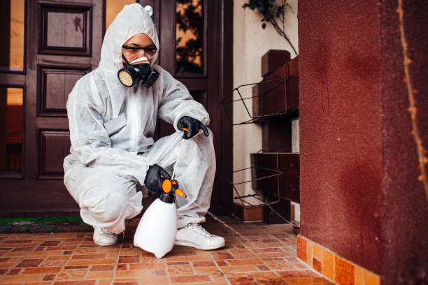 Reliable Fumigation Services contractor in Massanetta Springs, VA by Nex Pest Control