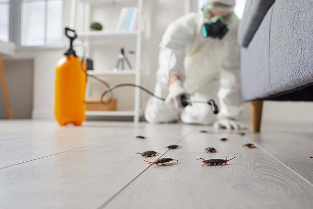 Trusted Bed Bug Control service in Massanetta Springs, VA - Nex Pest Control